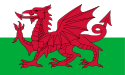 welsh Connecticut - 国名（科） (页面 1)